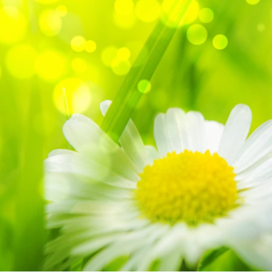 男人吃女人下面视频
